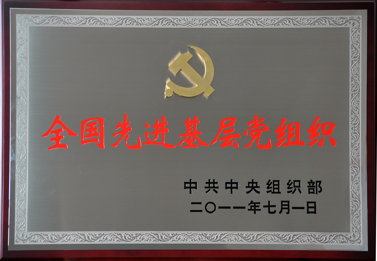 2011年7月，紅豆集團(tuán)黨委榮獲“全國(guó)先進(jìn)基層黨組織”稱號(hào)
